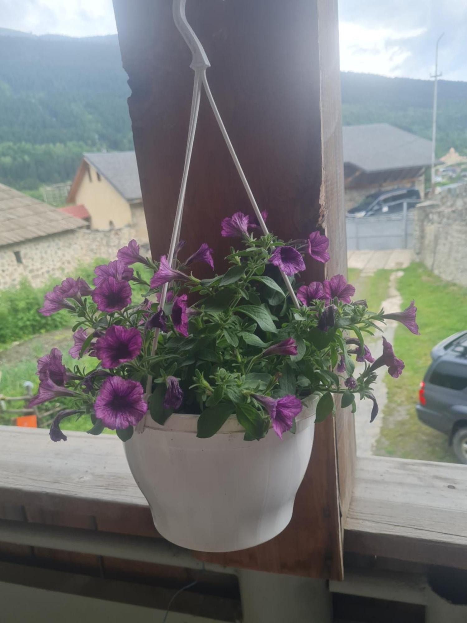 Guest House Goshtela Местия Екстериор снимка
